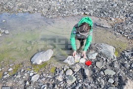 Ден 85 - Гл. ас. д-р Весела Евтимова: Копеподите Boeckella poppei са царете в езерцата на Ливингстън