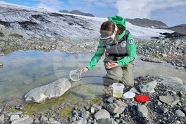 Ден 85 - Гл. ас. д-р Весела Евтимова: Копеподите Boeckella poppei са царете в езерцата на Ливингстън