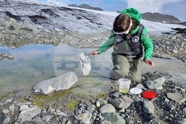 Ден 85 - Гл. ас. д-р Весела Евтимова: Копеподите Boeckella poppei са царете в езерцата на Ливингстън