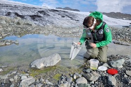 Ден 85 - Гл. ас. д-р Весела Евтимова: Копеподите Boeckella poppei са царете в езерцата на Ливингстън