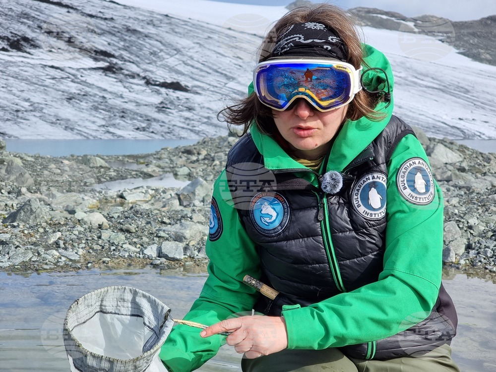 Ден 85 - Гл. ас. д-р Весела Евтимова: Копеподите Boeckella poppei са царете в езерцата на Ливингстън