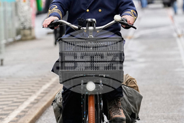 Germany Carnival Parade