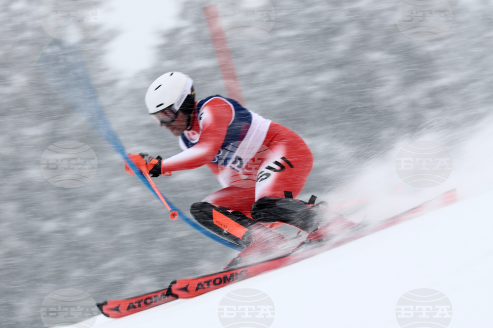 Milan Cortina Olympics Alpine Skiing