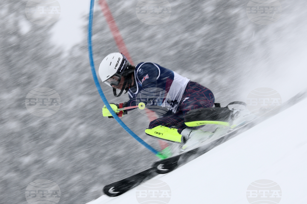 Milan Cortina Olympics Alpine Skiing