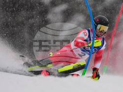 Milan Cortina Olympics Alpine Skiing