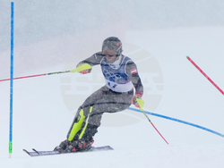Milan Cortina Olympics Alpine Skiing