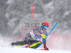 Milan Cortina Olympics Alpine Skiing