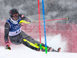 Milan Cortina Olympics Alpine Skiing