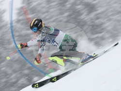 Milan Cortina Olympics Alpine Skiing