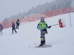 Milan Cortina Olympics Alpine Skiing