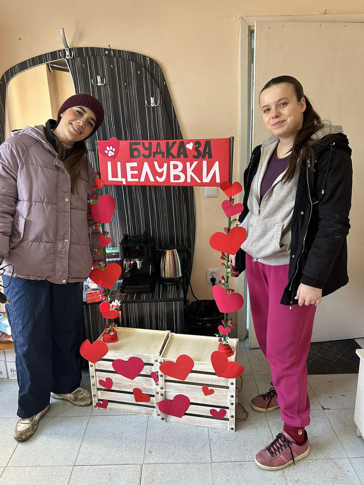 Община Варна: „Намери по-добрата си половинка“ в Общинския приют за безстопанствени кучета в с. Каменар