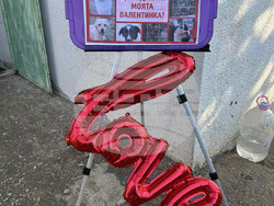 Снимка: Община Варна