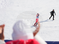 Milan Cortina Olympics Alpine Skiing