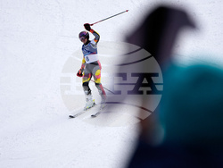 Milan Cortina Olympics Alpine Skiing