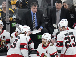 Senators Bruins Hockey
