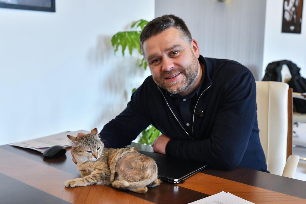 Кметът на Букурещ осинови котка и споделя с нея кабинета си в Общината 