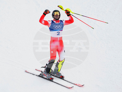 Milan Cortina Olympics Alpine Skiing