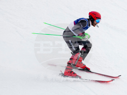 Milan Cortina Olympics Alpine Skiing