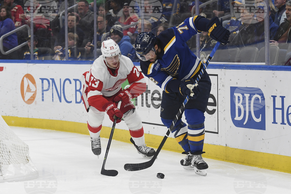 Red Wings Blues Hockey