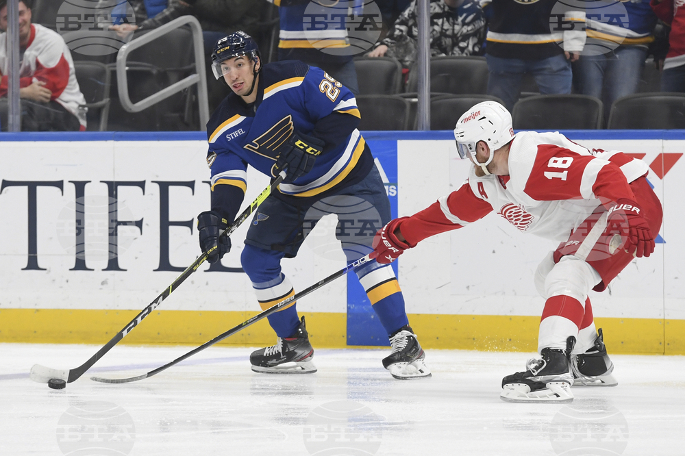 Red Wings Blues Hockey