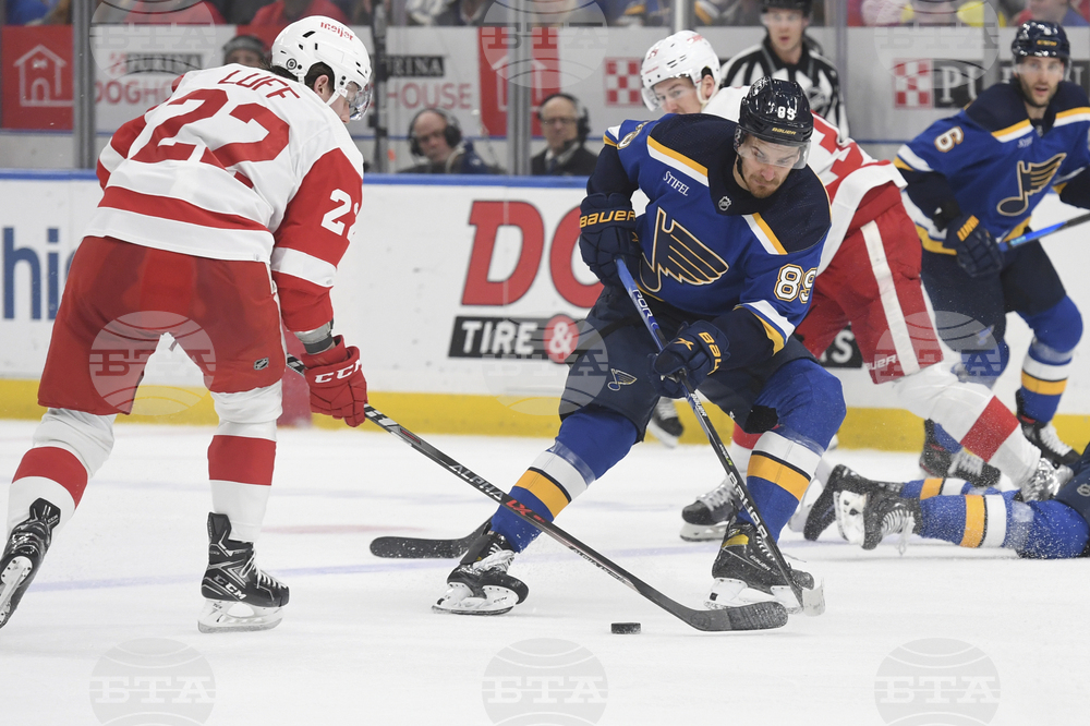 Red Wings Blues Hockey