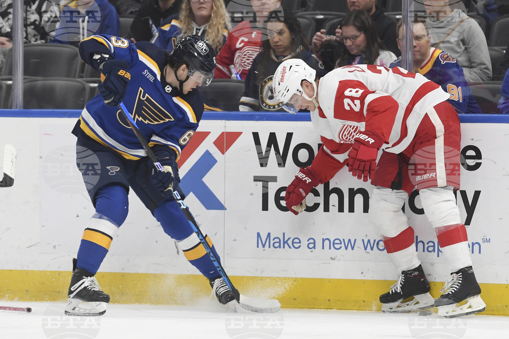 Red Wings Blues Hockey