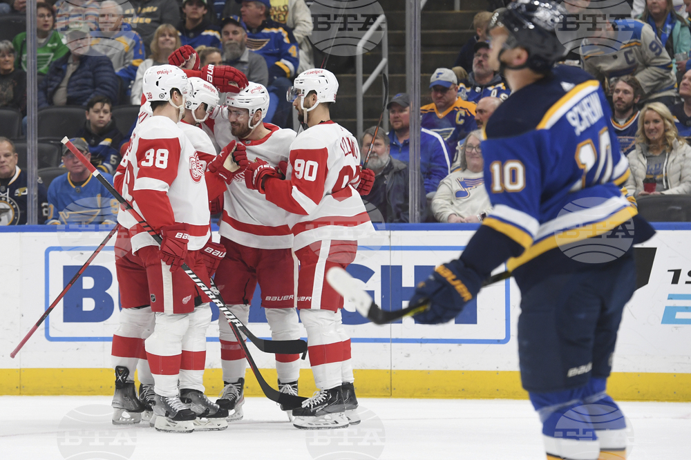 Red Wings Blues Hockey