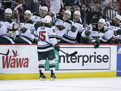 Wild Devils Hockey