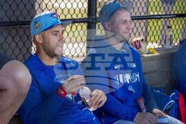 Blue Jays Spring Training Baseball
