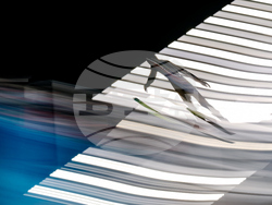 Milan Cortina Olympics Ski Jumping