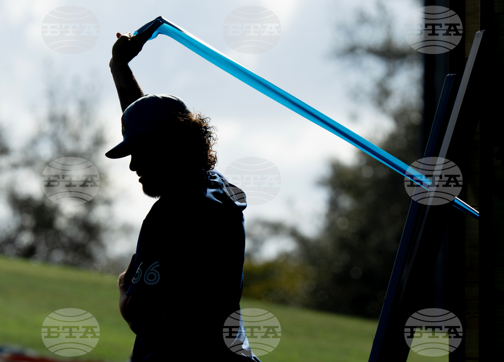 Blue Jays Spring Training Baseball