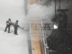 Milan Cortina Olympics Freestyle Skiing