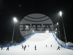 Milan Cortina Olympics Freestyle Skiing