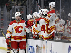 Flames Ducks Hockey