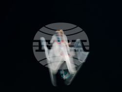 Milan Cortina Olympics Ski Jumping