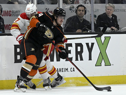 Flames Ducks Hockey
