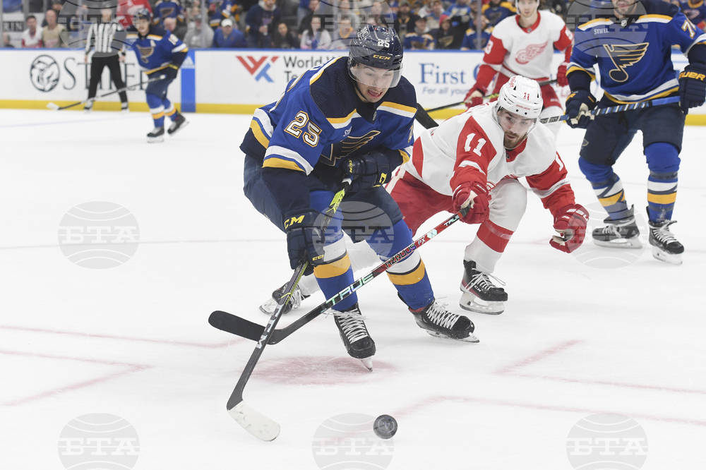 Red Wings Blues Hockey