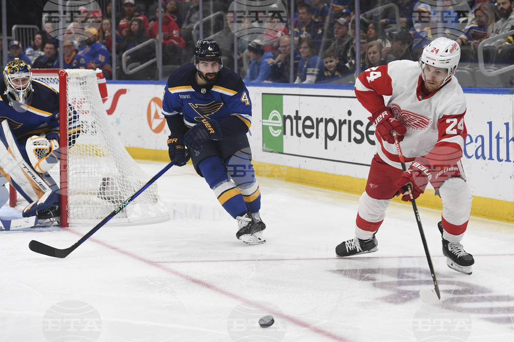 Red Wings Blues Hockey