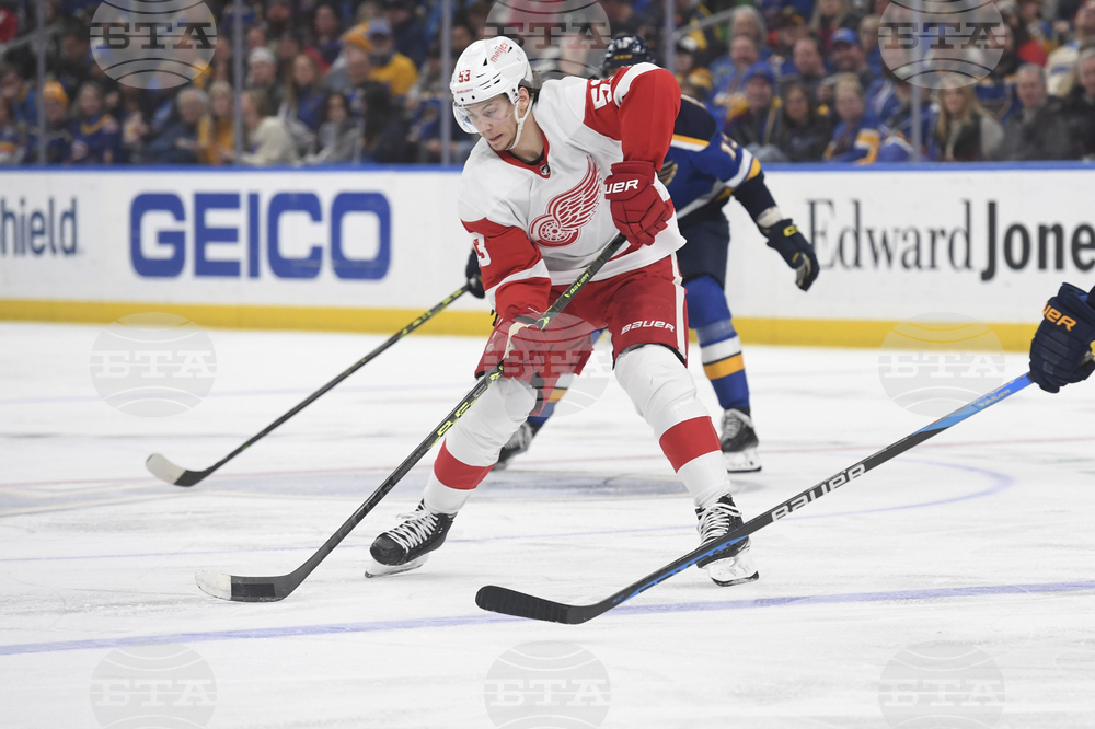 Red Wings Blues Hockey
