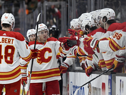 Flames Ducks Hockey