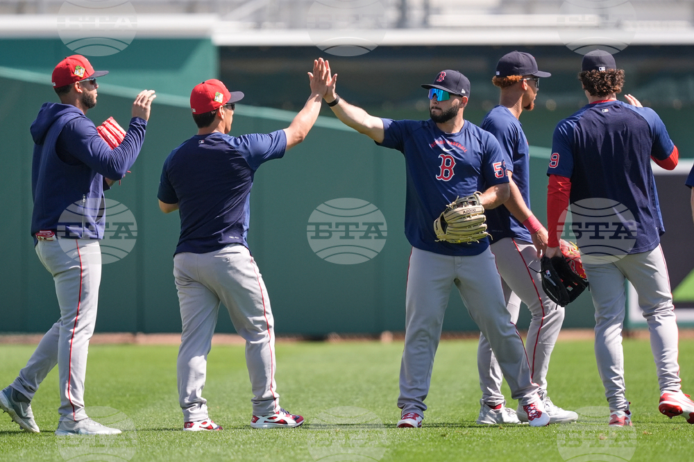 Red Sox Spring Baseball