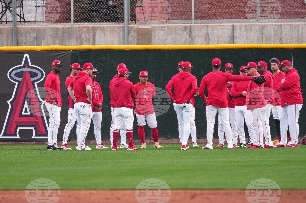 Angels Spring Baseball
