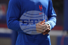 Mets Spring Baseball
