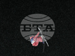 Milan Cortina Olympics Freestyle Skiing