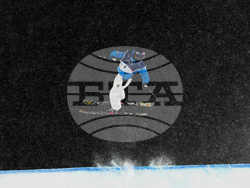 Milan Cortina Olympics Freestyle Skiing