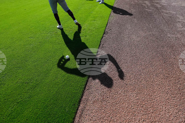 APTOPIX Twins Spring Baseball