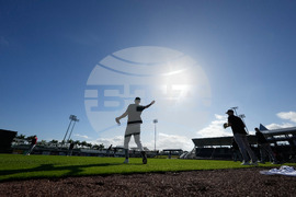 Twins Spring Baseball