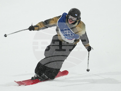 Milan Cortina Olympics Freestyle Skiing