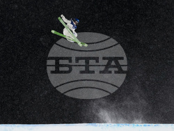 Milan Cortina Olympics Freestyle Skiing