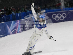 Milan Cortina Olympics Freestyle Skiing